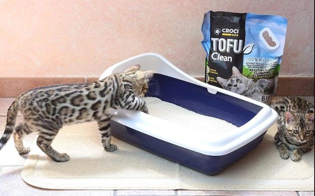Тофу Клин Tofu Clean наполнитель для кошачьих туалетов, 6л