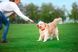 Мячик Лайкер Корд LIKER на шнуре для собак, 5 см