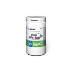 АктиВет Порошок Strong Joints & Bones Powder GIGI хондропротектор противовоспалительный для собак, 1040г