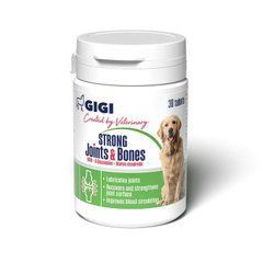 АктиВет Strong Joints & Bones GIGI 1табл/10кг хондропротектор противовоспалительный для собак, 30 таблеток