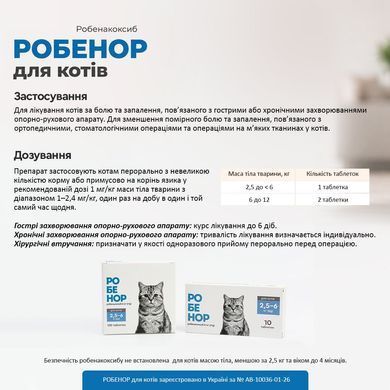 Робенор 6 мг для котів, 1 упаковка (10 табл)