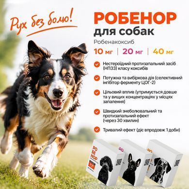 Робенор 10 мг для собак, упаковка (10 табл)