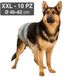 Підгузки CROCI для собак вагою 18-30кг, обхват талії 40-62см, розмір XXL, 10 шт