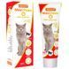Фитопаста MAXI PAWS для вывода шерсти кошек, 100 г