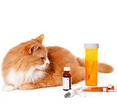 Протипухлинні ветеринарні препарати