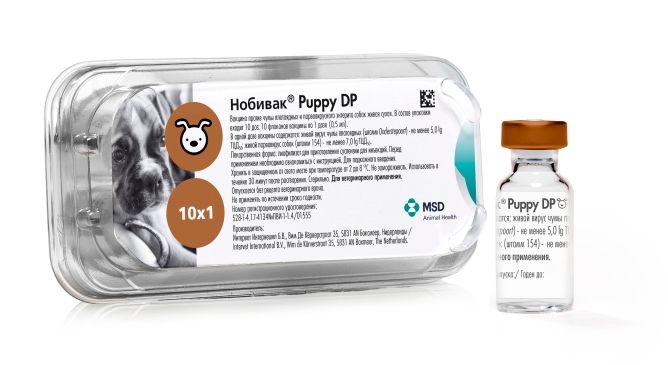 Нобивак PUPPY DP вакцина для собак против чумы и энтерита, 1 доза