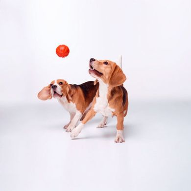 Мячик Лайкер LIKER для собак, 7 см